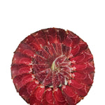 Translation missing: es.sections.featured_product.gallery_thumbnail_alt
